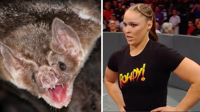 WWE SummerSlam 2018: Ronda Rousey sintió el terror tras ver a un murciélago