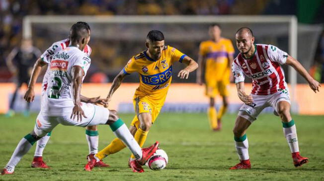Tigres vs Necaxa ver EN VIVO ONLINE EN DIRECTO vía Sky Sports y Univisión por la fecha 7 Liga MX