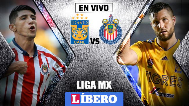 Chivas vs Tigres EN VIVO ONLINE vía TDN por la jornada 17 de la Liga MX.