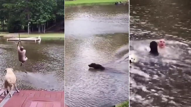 Perro rescata a su dueño tras caer a lago y video es viral en TikTok Perro rescata a su dueño tras caer a lago y video es viral en TikTok