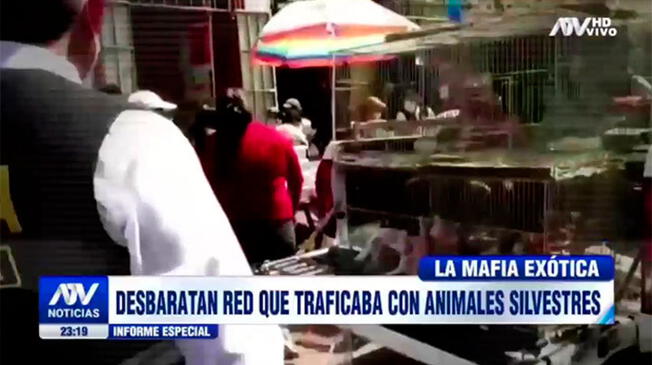 Venta de animales silvestres en Cercado de Lima
