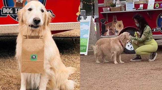 'Lily', la mascota que reparte comida para perros.