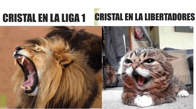 Sporting Cristal: memes no se hicieron esperar en las redes sociales.