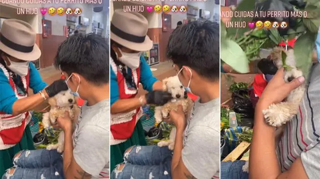 Joven le hace una limpia a su perro para quitarle el mal de ojo