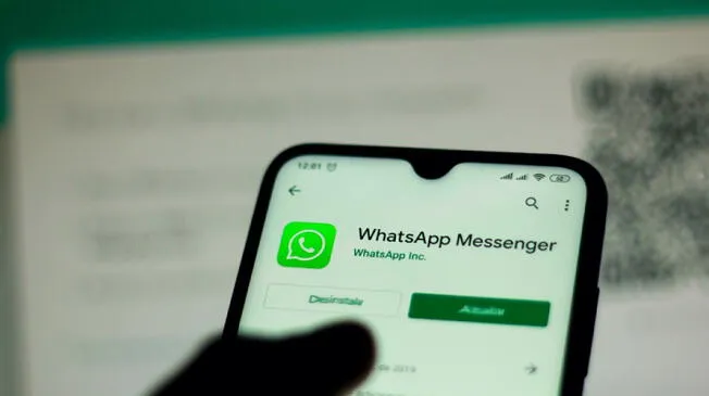 WhatsApp: ¿Cómo puedo chatear con alguien sin añadirlo a tu lista de contactos?