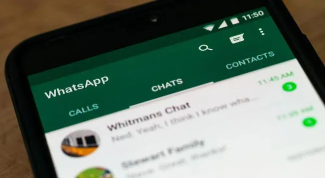 Conoce como recuperar videos y fotos de tu WhatsApp