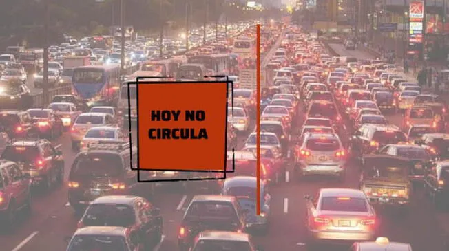 Este domingo se suspende el programa Hoy no circula Este domingo se suspende el programa Hoy no circula