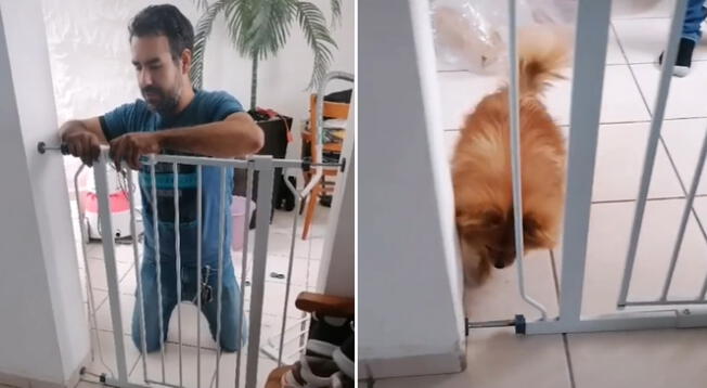 Hombre instala una reja para evitar que su perro ingrese a la sala, pero todo es en vano