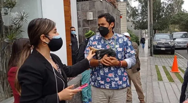 Los reporteros llamaron a la Brigada Canina de la Municipalidad de Surco que logró salvar la vida al felino.