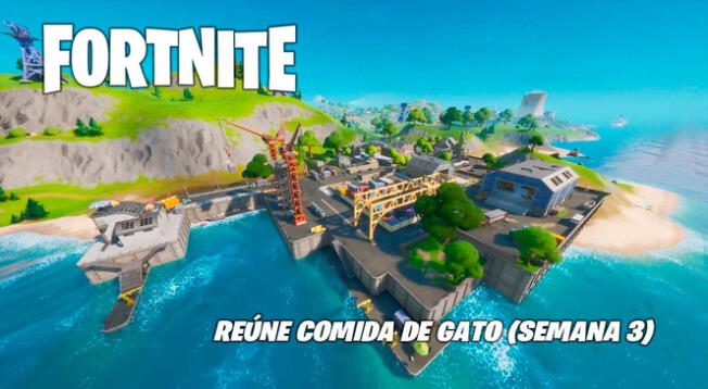 Fortnite: reúne comida de gato