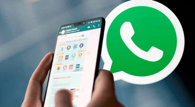 Cómo encontrar los archivos recibidos por WhatsApp que no están en la galería del celular