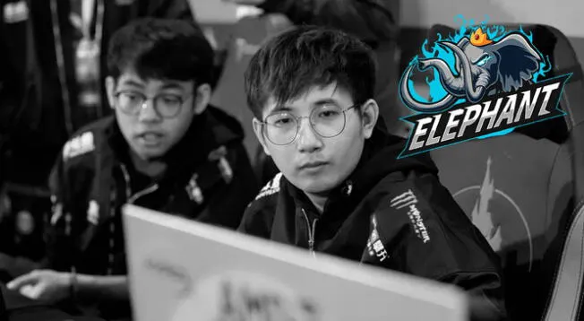 Elephant es un equipo conformado por ex integrantes de PSG.LGD, Vici Gaming y RNG