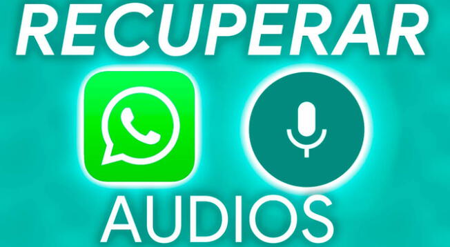 WhatsApp: conoce la manera de recuperar los audios eliminados.