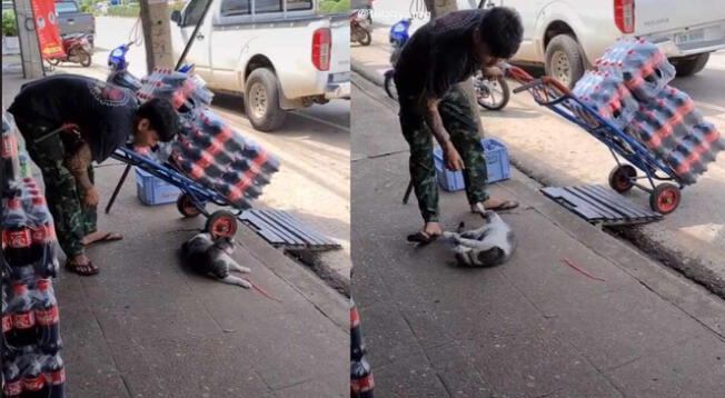 Un joven se solidarizó con un gatito que se encontraba en la vereda