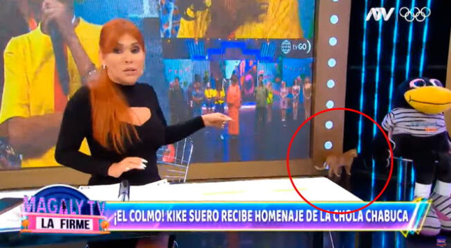 Magaly Medina fue sorprendida por una gatita que se metió a su set.