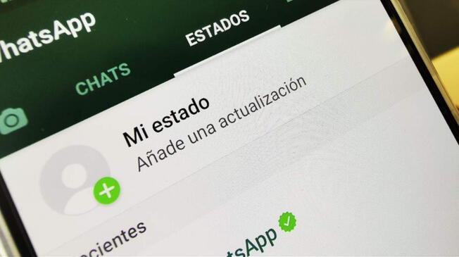 Mira los estados de WhatsApp de tus contactos sin que ellos se enteren. Foto: Vivo247