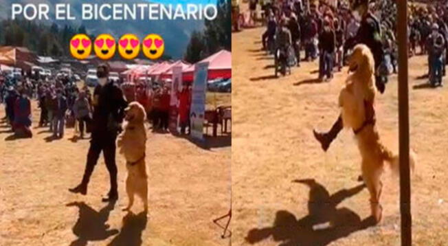 Perros realizan desfile patrio por 28 de julio