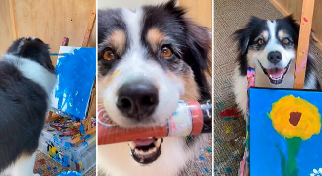 Perrita se vuelve viral en Instagram al pintar curiosos cuadros - VIDEO