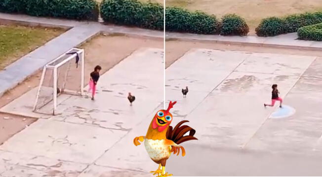 Mujer se vuelve viral por entrenar con su gallo durante las mañanas