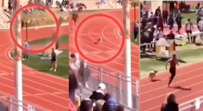 ¿Medalla de oro?: Perro ingresó a una carrera de 200 metros y llegó en primer lugar