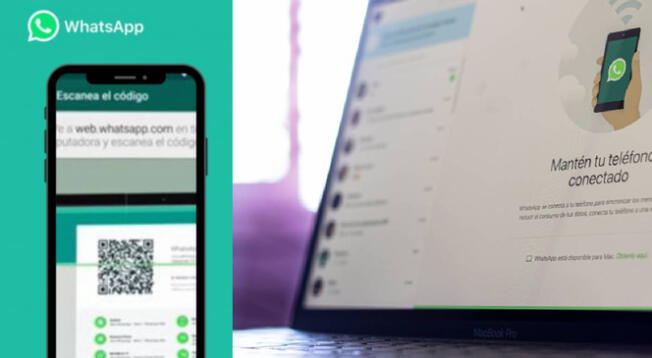 WhatsApp Web: Averigua como utilizarlo desde el celular