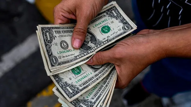 Dólar se mantiene volátil desde hace varias semanas. Foto: AFP