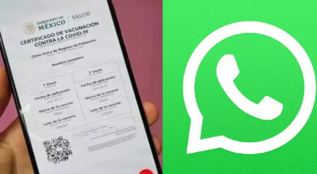 WhatsApp: Pasos como obtener tu certificado de vacunación desde tu celular