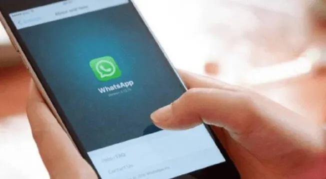 Conoce la aplicación para transferir tu WhatsApp de un celular a otro