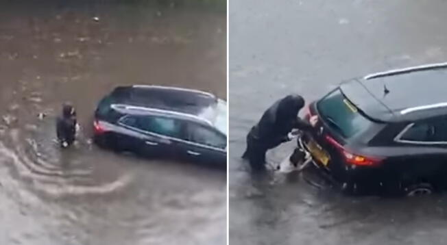 Un perrito se vuelve viral en redes por ayudar a su dueña a empujar el carro en medio de la inundación