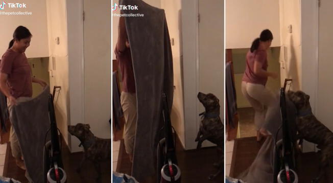 Mujer se vuelve viral por fallar en su intento de sorprender a su perro
