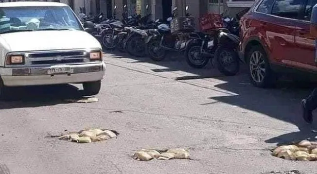 Ciudadanos tapan baches con cocos