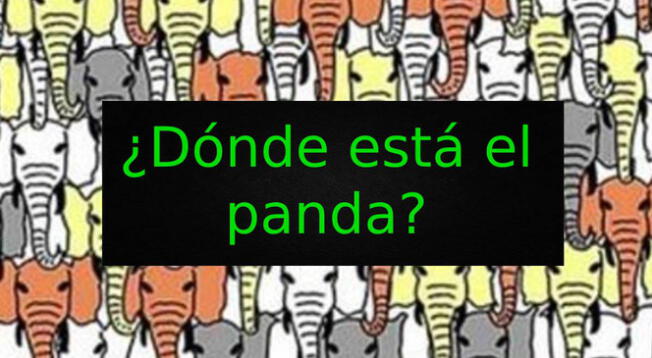 Reto visual: Encuentra al panda entre los elefantes