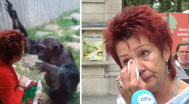 Mujer se vuelve viral tras ser acusada de tener una relación con un chimpance.