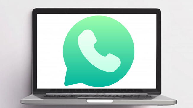 Conoce cuáles serían las nuevas políticas de privacidad de WhatsApp.