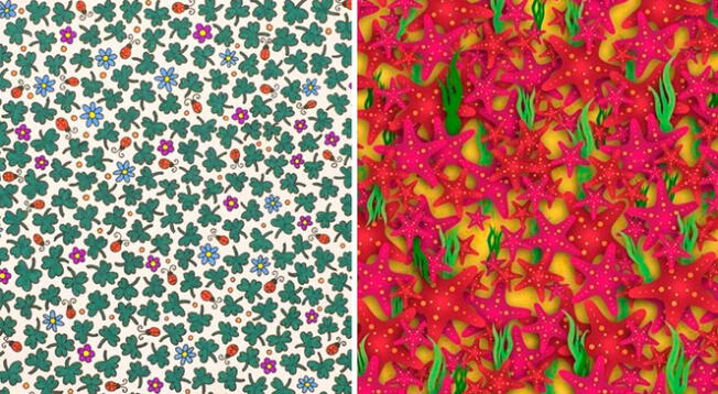 Doble reto visual: ¿Podrás resolver la incógnita? Estas imágenes desafiarán tu atención Doble reto visual: ¿Podrás resolver la incógnita? Estas imágenes desafiarán tu atención