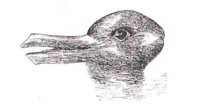 Reto visual: Comprueba qué animal ves en esta imagen en tiempo récord Reto visual: Comprueba qué animal ves en esta imagen en tiempo récord