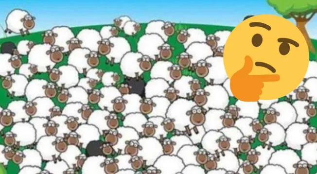 Encuentra la oveja durmiendo y al perro vigilante en la imagen ¡Tienes 30 segundos! Encuentra la oveja durmiendo y al perro vigilante en la imagen ¡Tienes 30 segundos!