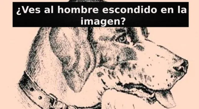 Reto visual: Encuentra al hombre oculto en la imagen en el menor tiempo posible