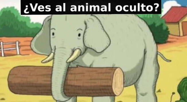 Reto visual: En menos de un minuto encuentra al animal oculto en la imagen