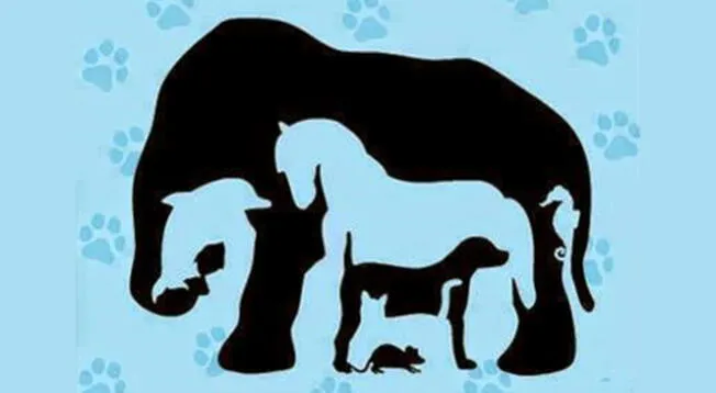 Reto visual: descubre cuántos animales hay en la imagen. Reto visual: descubre cuántos animales hay en la imagen.
