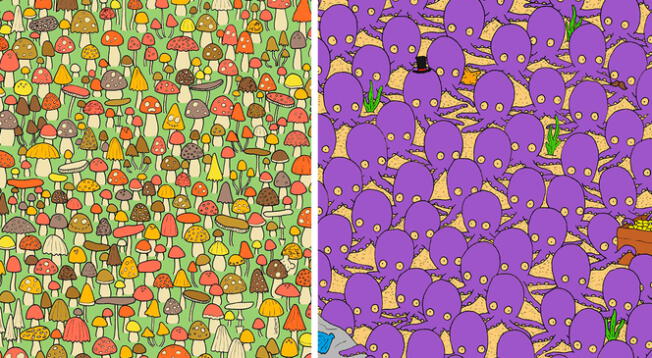 Doble reto visual: Encuentra a los animales ocultos en ambas imágenes en 20 segundos Doble reto visual: Encuentra a los animales ocultos en ambas imágenes en 20 segundos