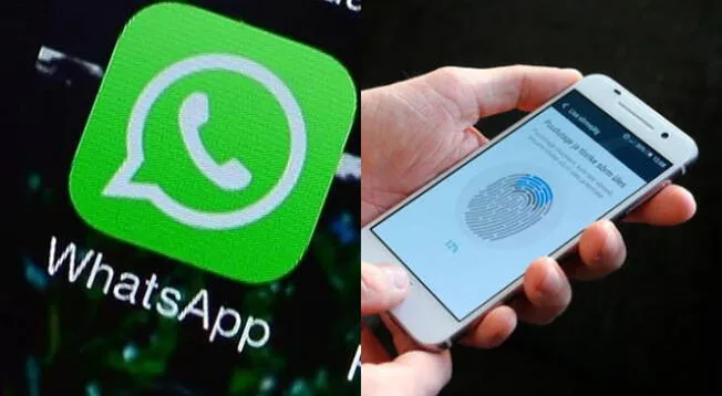 WhatsApp: Cómo bloquear tu cuenta con huella dactilar sin apps externas. WhatsApp: Cómo bloquear tu cuenta con huella dactilar sin apps externas.