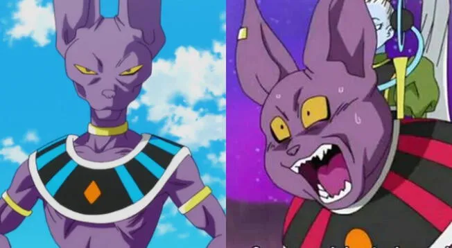 Dragon Ball Super: el extraño deseo que pidió Bills para su hermano.