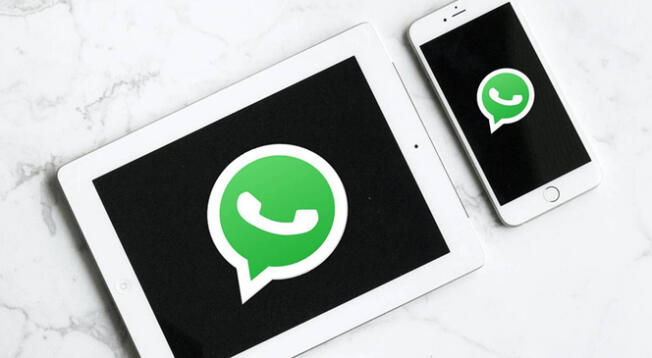 Conoce cómo acceder a la versión Beta de WhatsApp desde tu móvil
