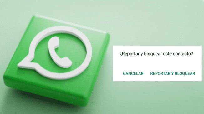 WhatsApp modifica su proceso de denuncia. WhatsApp modifica su proceso de denuncia.