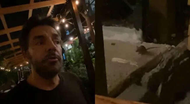 Eugenio Derbez encontró un ratón en restaurante y así fue su reacción - VIDEO