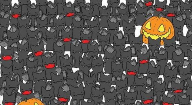 Reto visual: encuentra al gato escondido en un tiempo límite Reto visual: encuentra al gato escondido en un tiempo límite