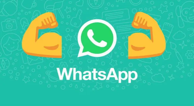 WhatsApp volvió para alegría de sus usuarios.