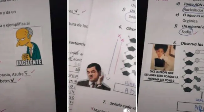 Docente es viral en redes sociales por corregir con memes.