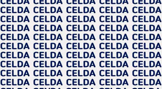 Identifica la palabra Identifica la palabra